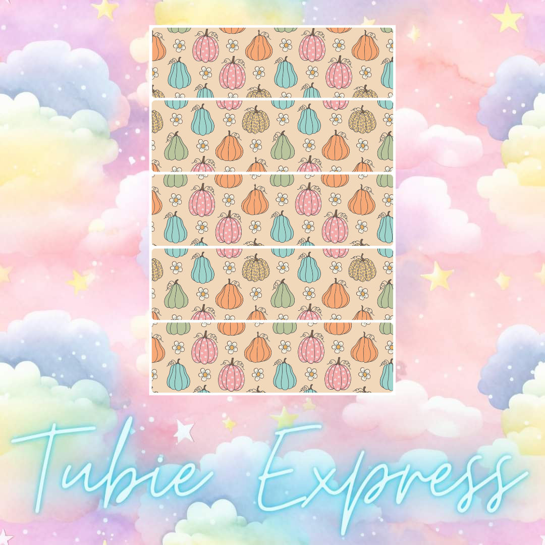 Pastel pumpkins 🎃