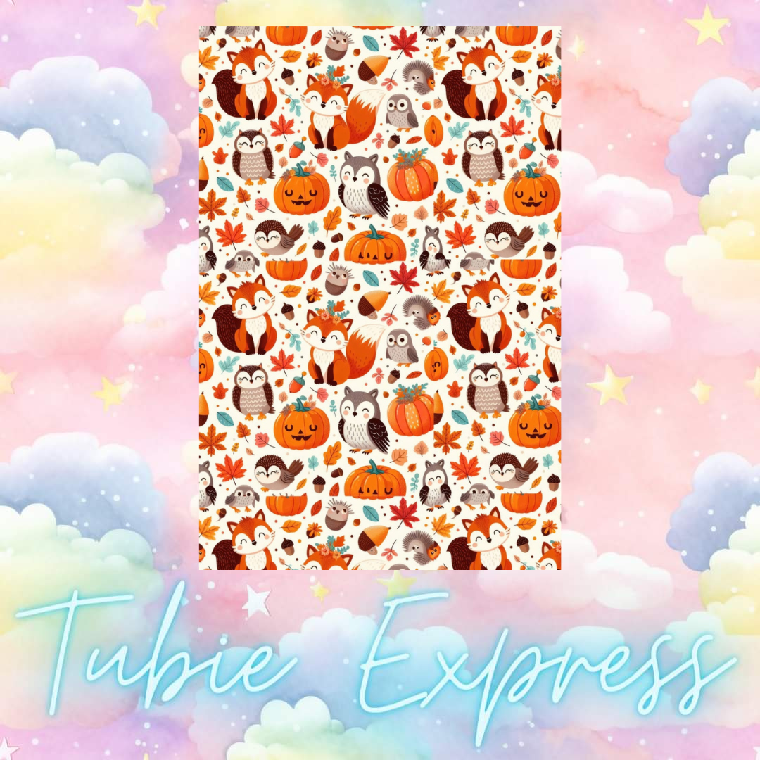 Foxes owls and Autumn leaves 🍂