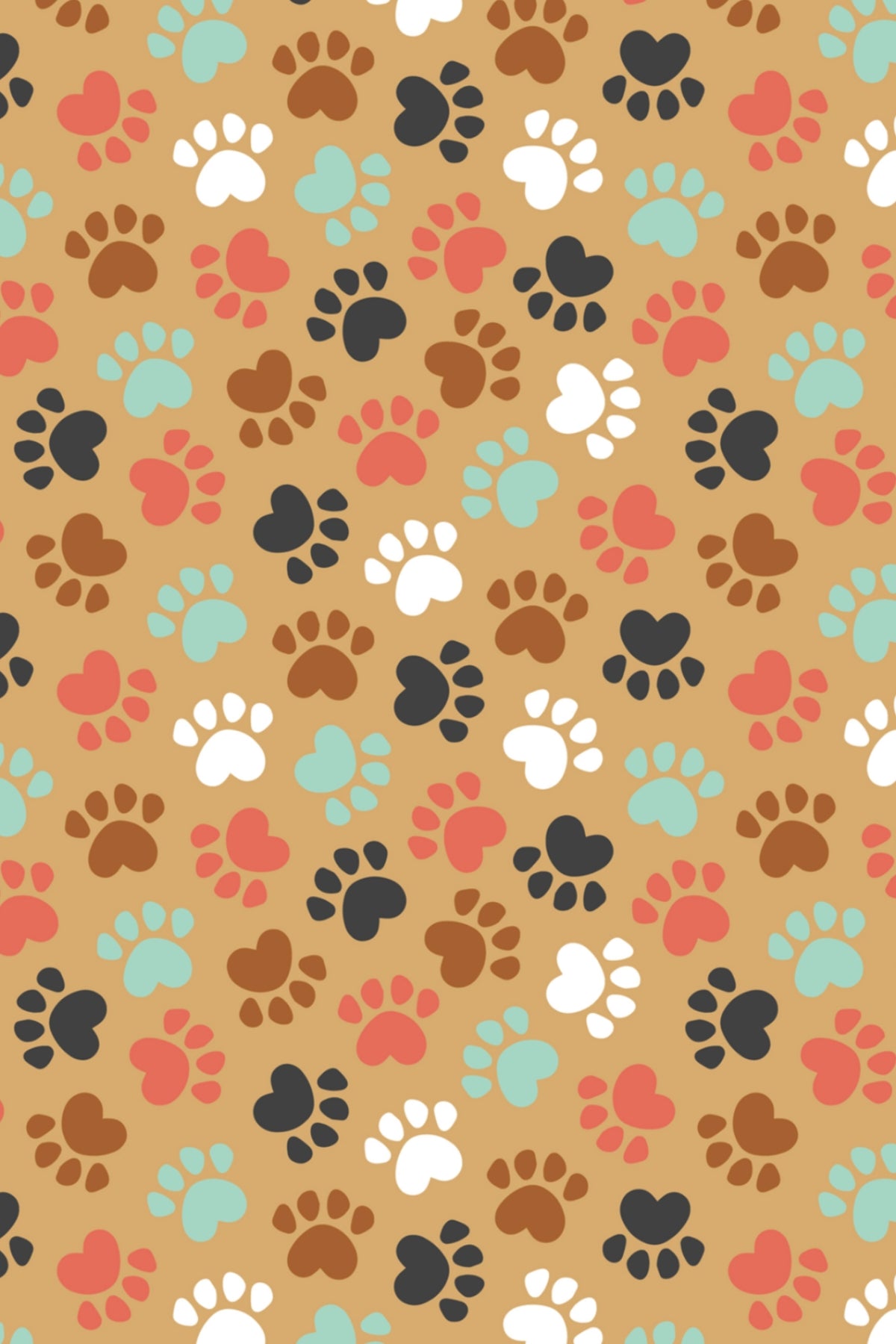 Paws 1
