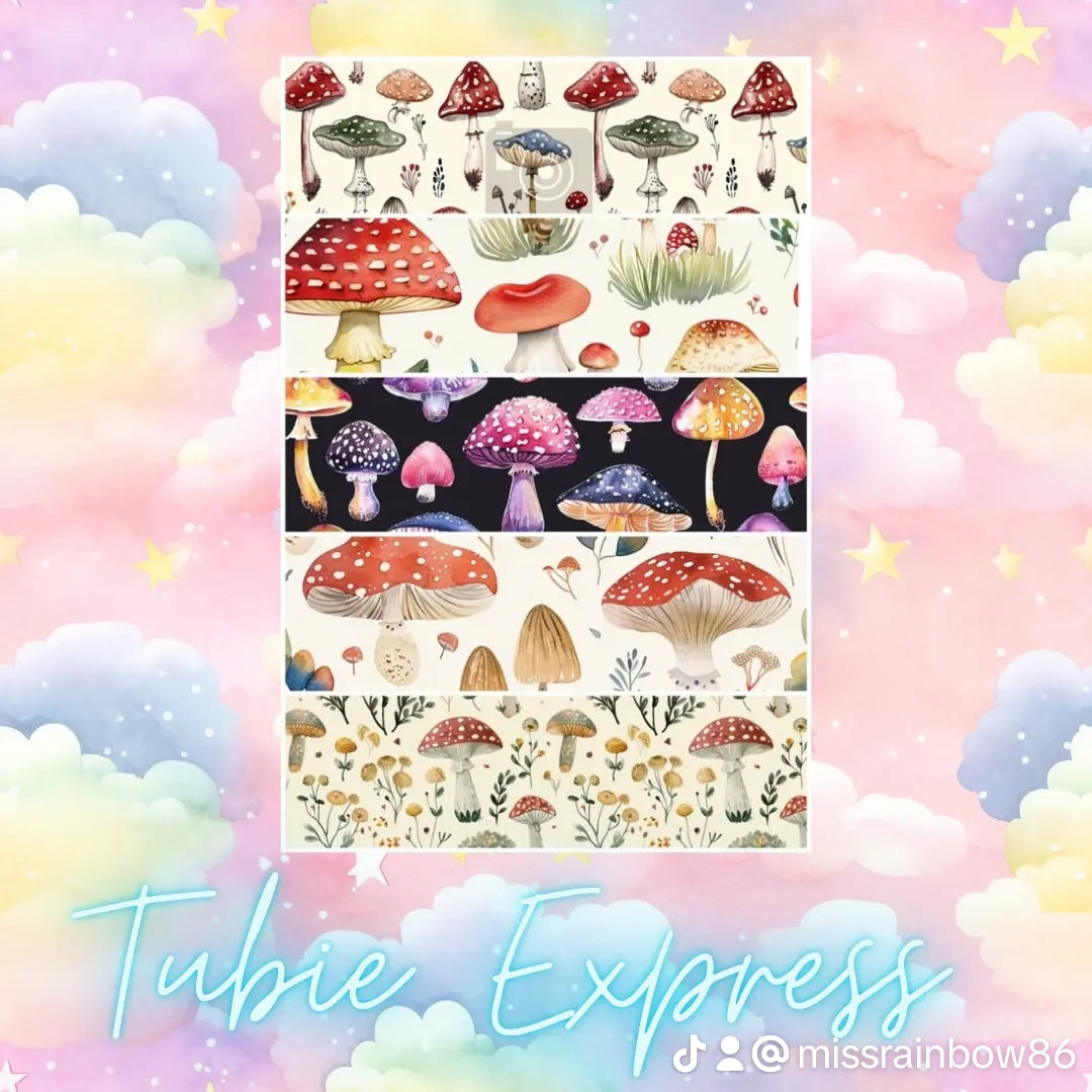 Autumn toadstools.(2)