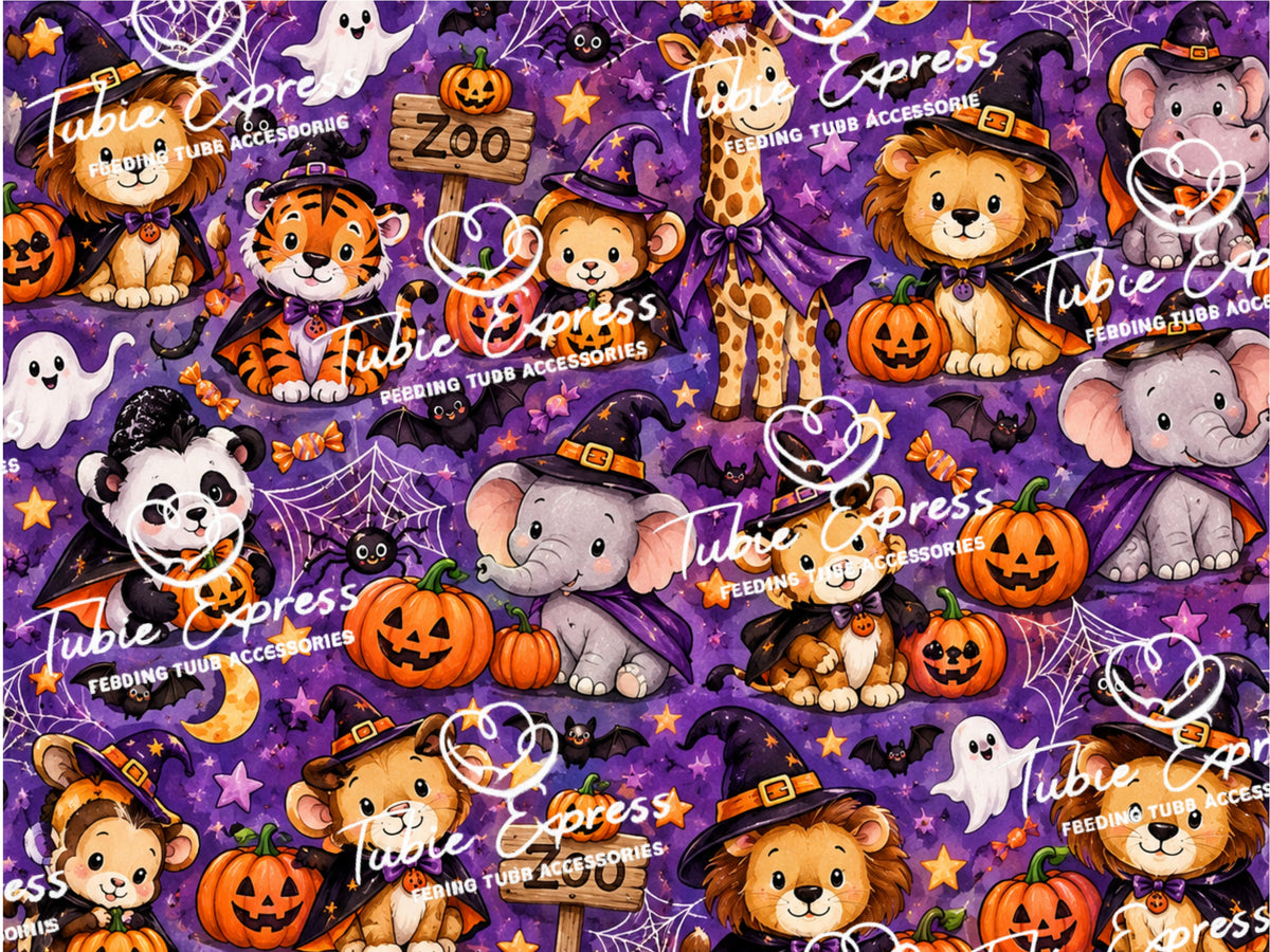 Autumn collection 2026
